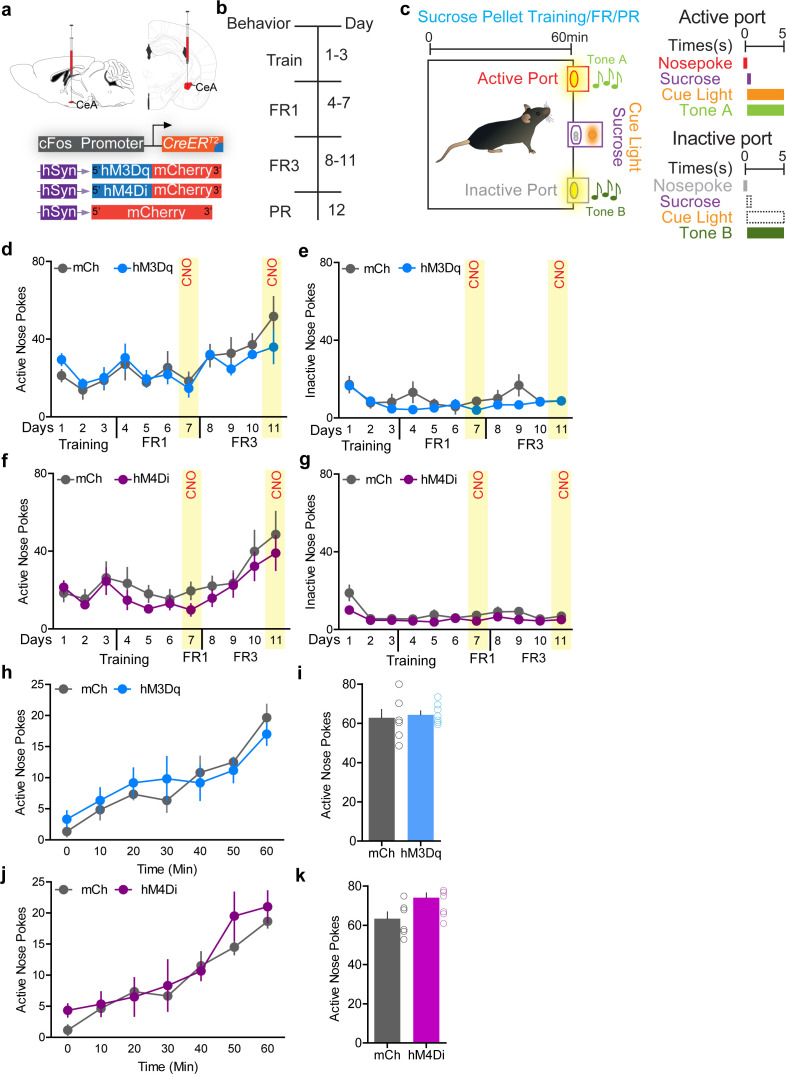 Figure 3—figure supplement 3.