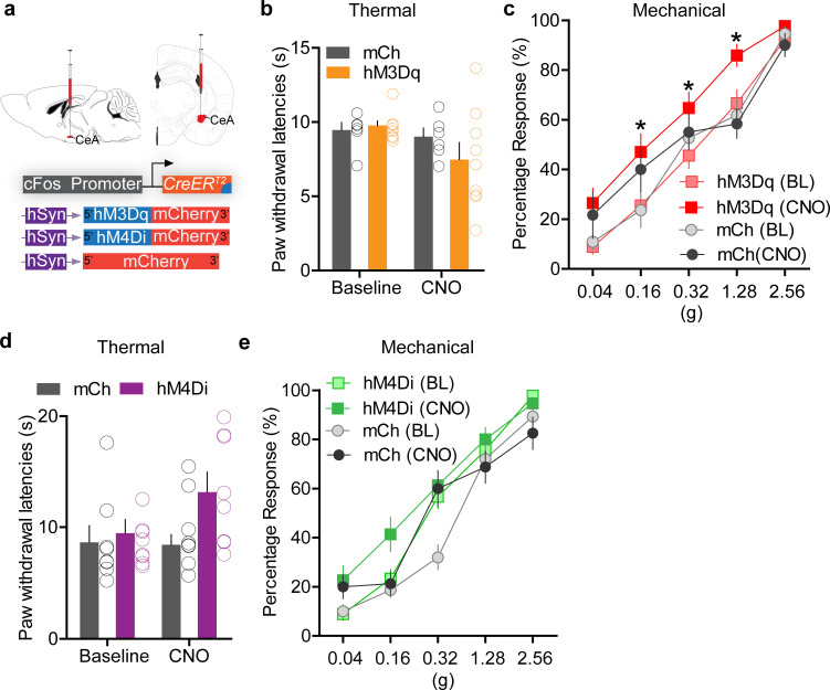 Figure 2—figure supplement 4.