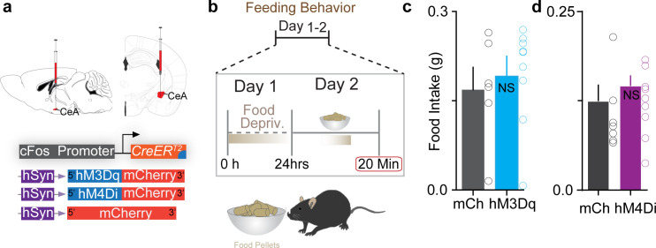 Figure 3—figure supplement 2.