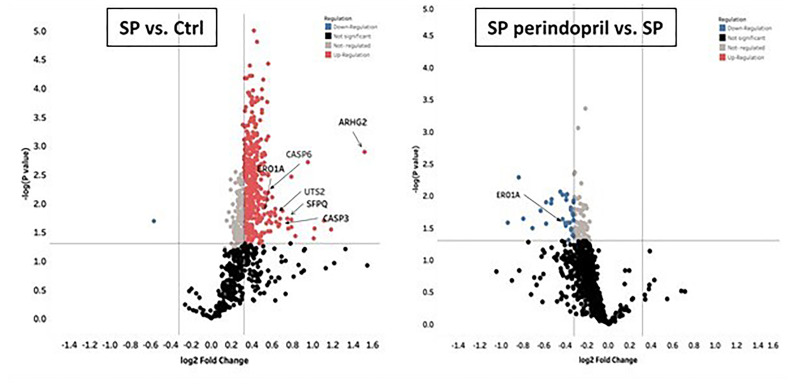 Figure 6