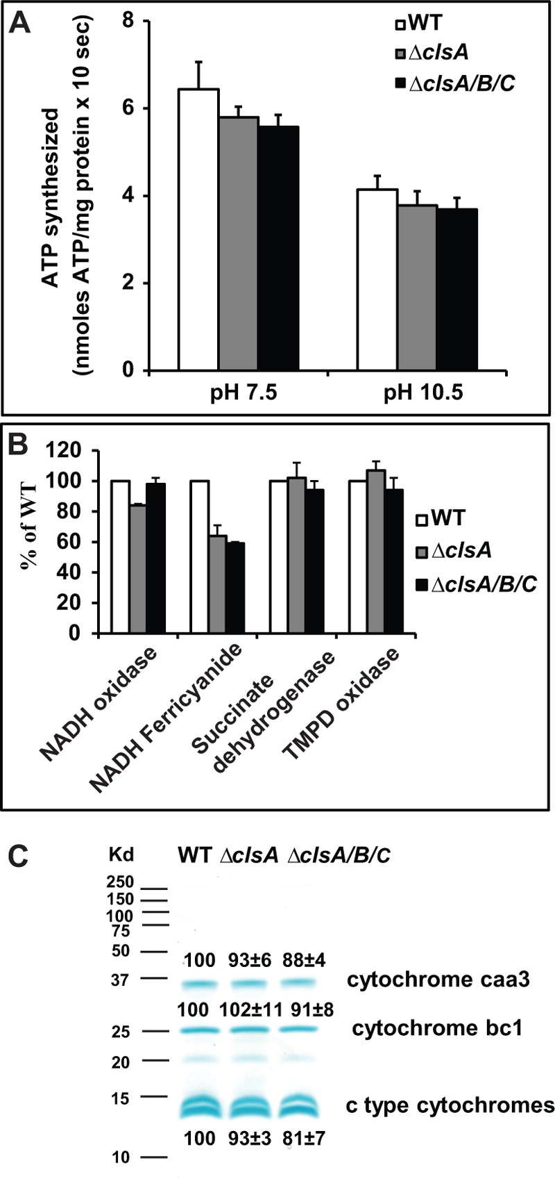 FIGURE 5.