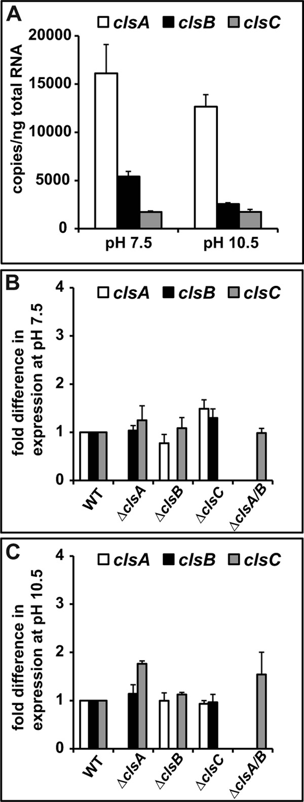 FIGURE 3.