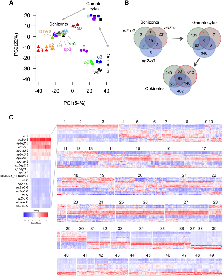 Figure 4