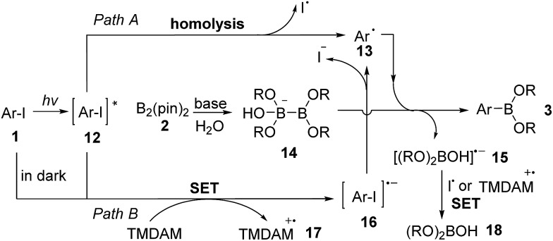 Scheme 2