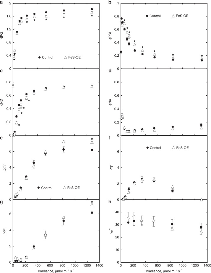 Fig. 5