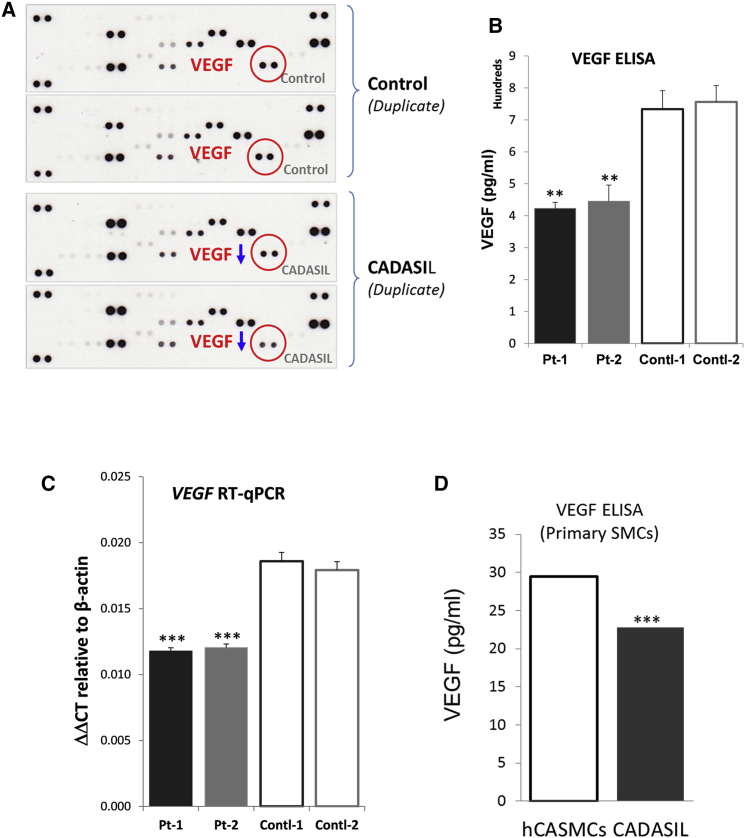 Figure 6