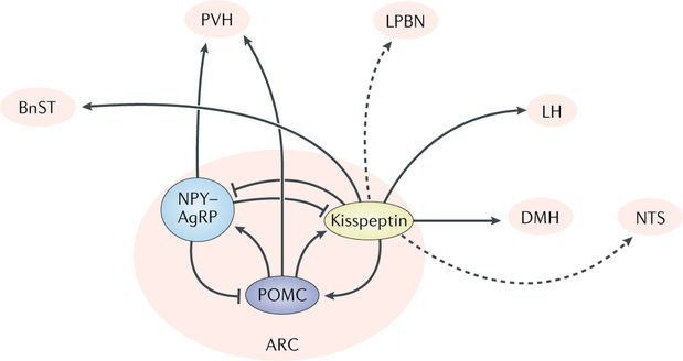 Fig. 3 |