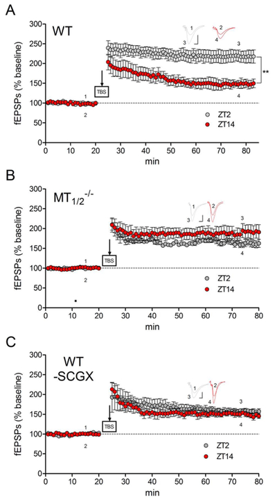 Fig. 4: