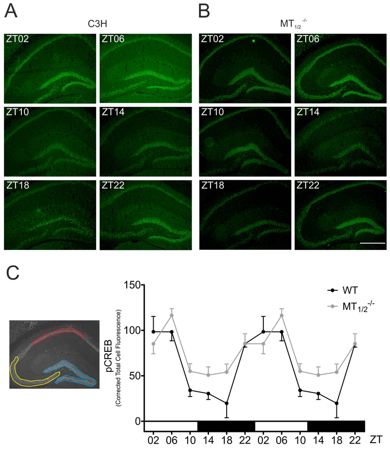 Fig. 5: