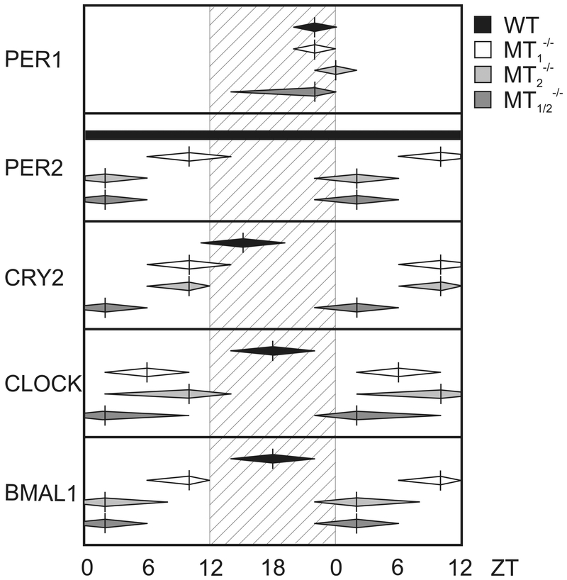 Fig. 3: