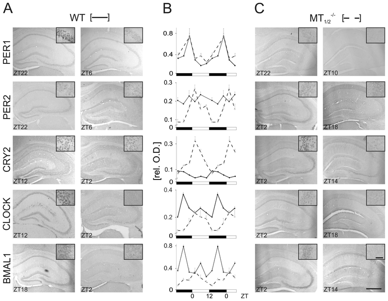 Fig. 2: