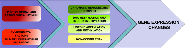 Fig. 1