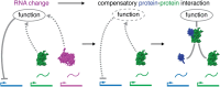 Graphical Abstract