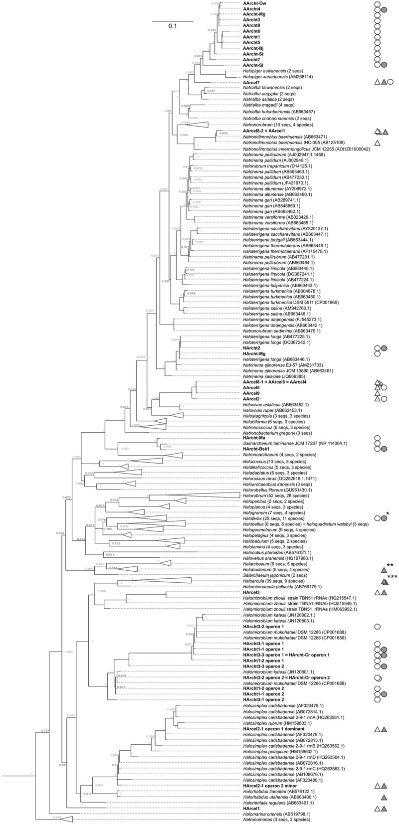 FIGURE 1