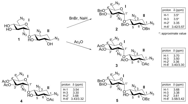 Scheme 3