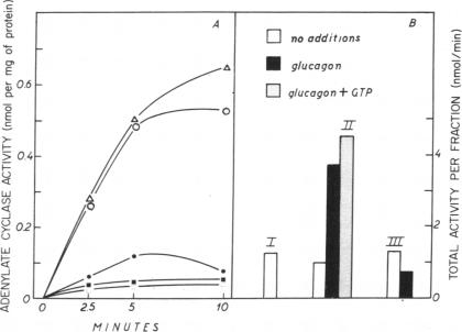 graphic file with name pnas00088-0121-a.jpg