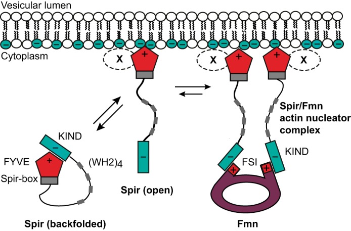 FIGURE 11.