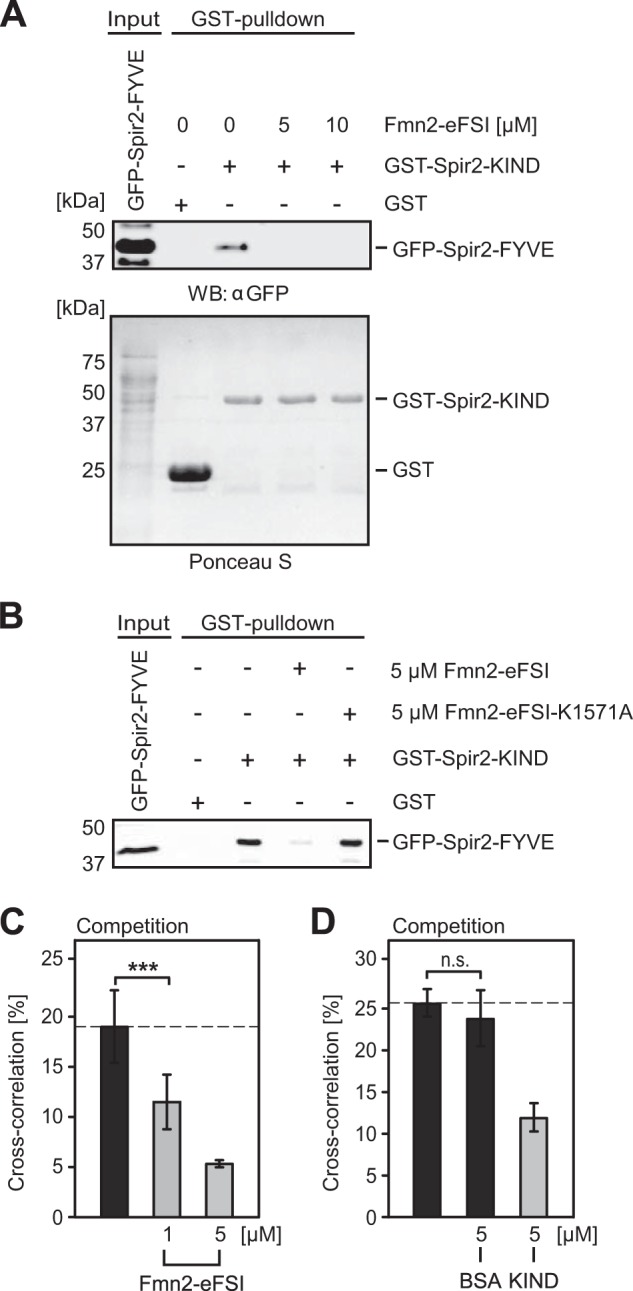 FIGURE 7.