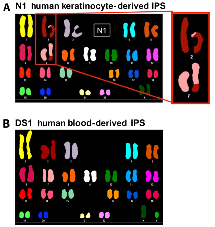 Figure 1.