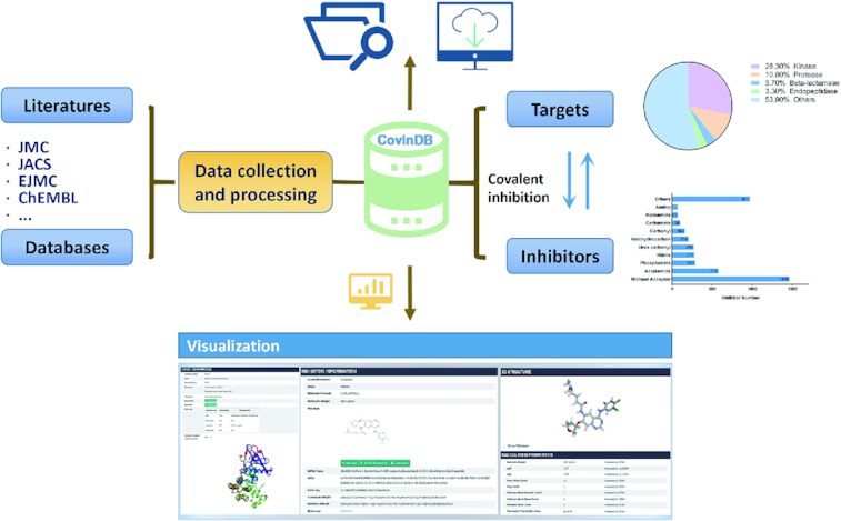 Graphical Abstract