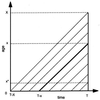 Figure  2