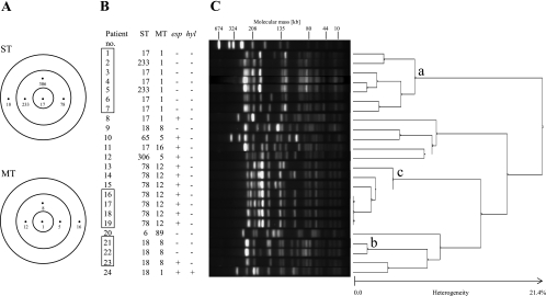 FIG. 1.