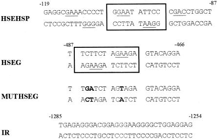 Fig 3.