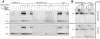 Fig 4.