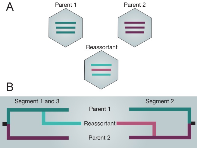 Fig 1