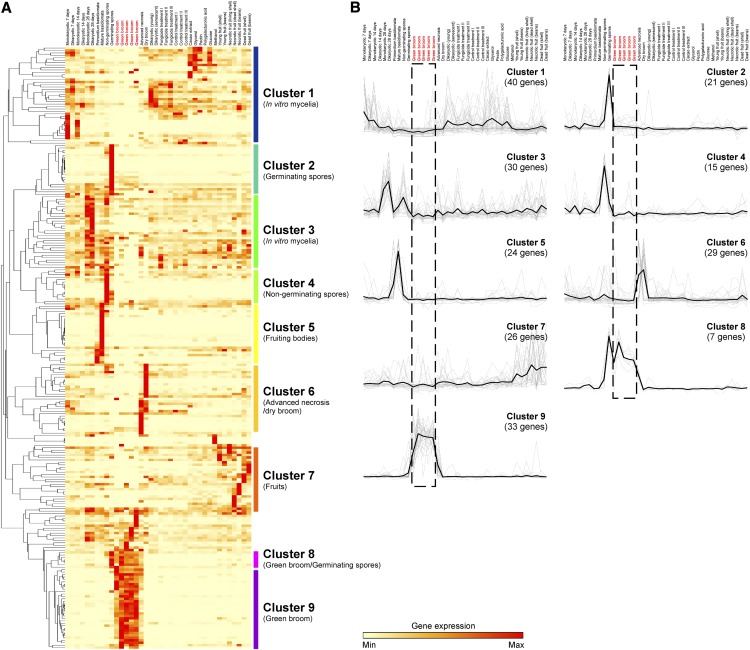 Figure 10.