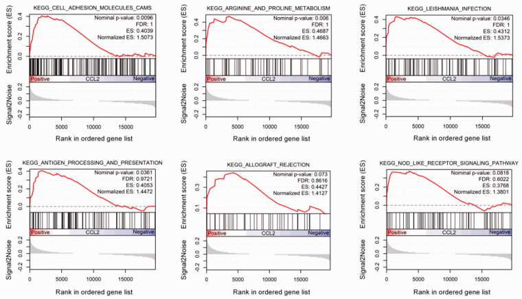 Figure 2.