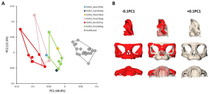 FIGURE 1