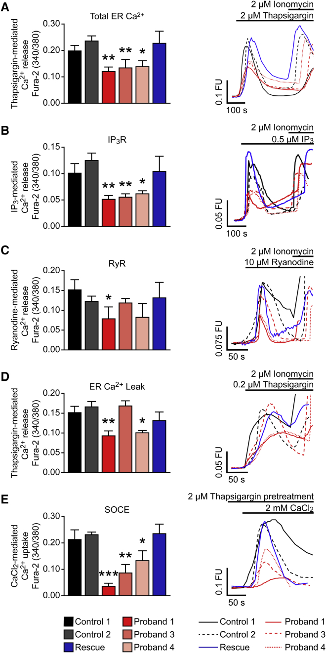 Figure 3