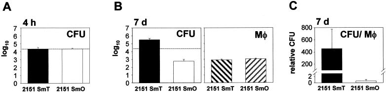 FIG. 1.