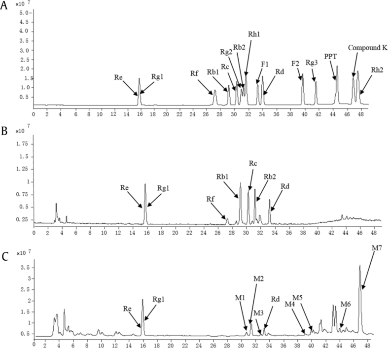 Fig. 2