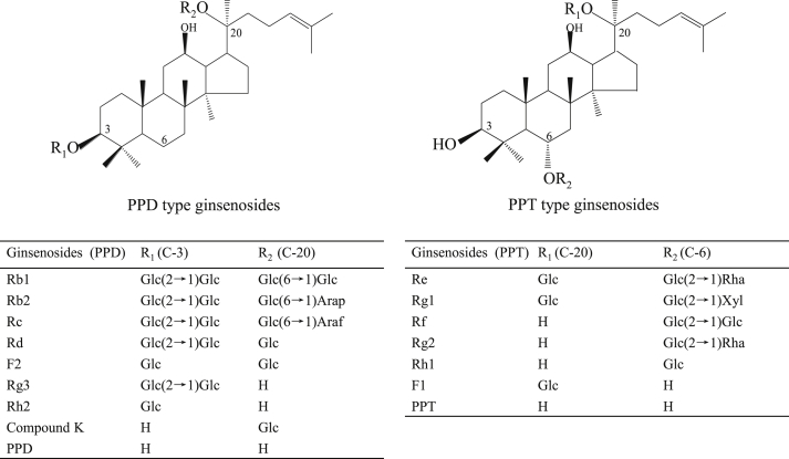 Fig. 1