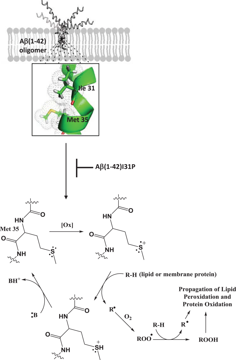 Fig.1