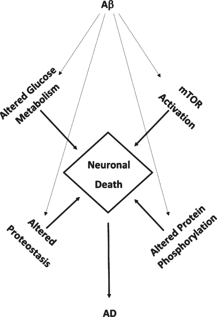 Fig.2