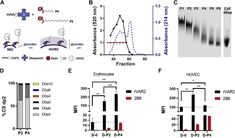 Figure 5