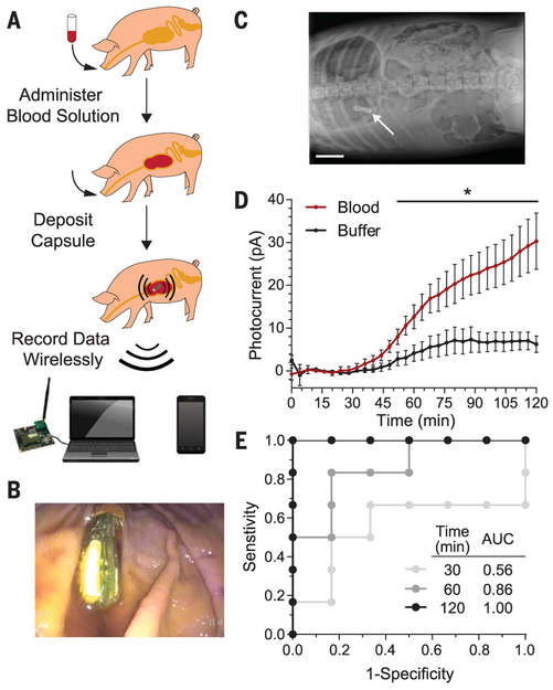 Fig. 3.