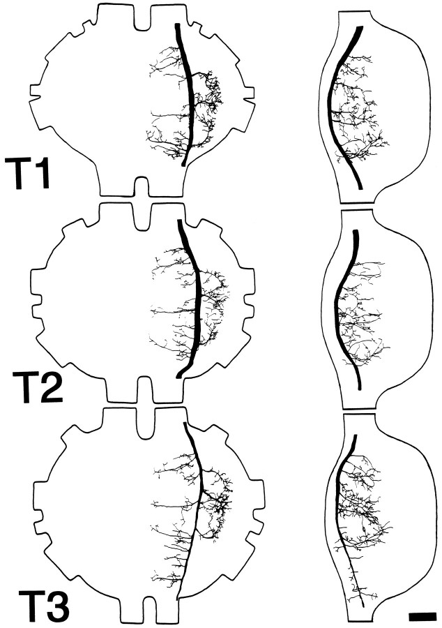 Fig. 8.