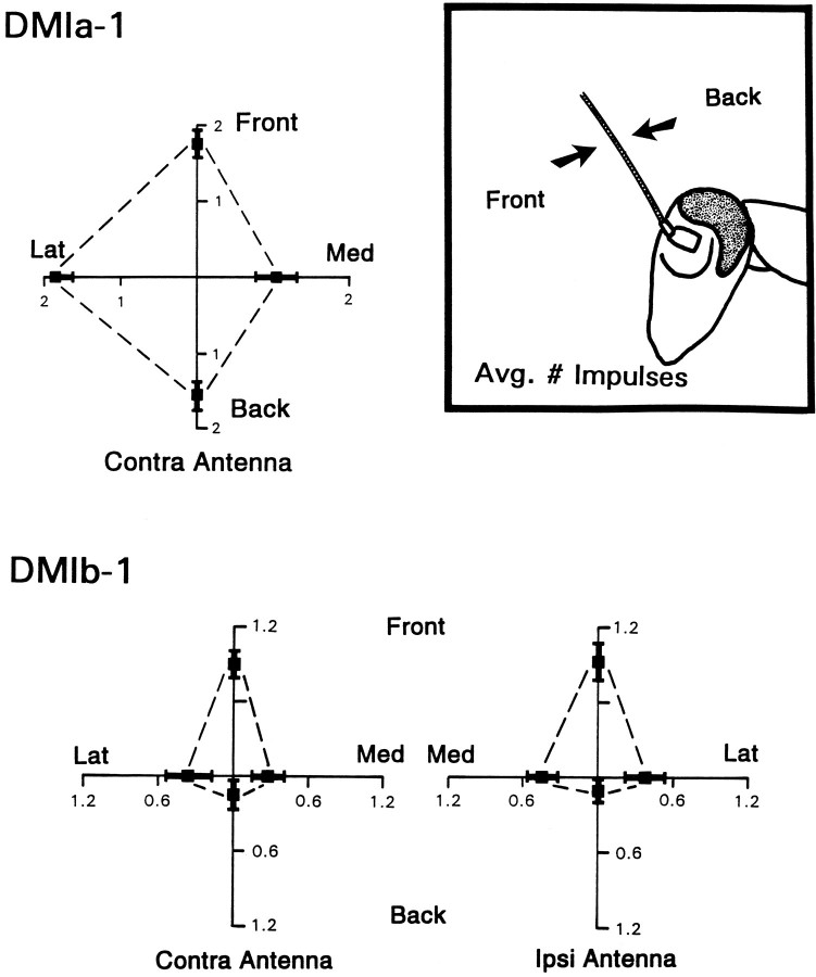 Fig. 12.