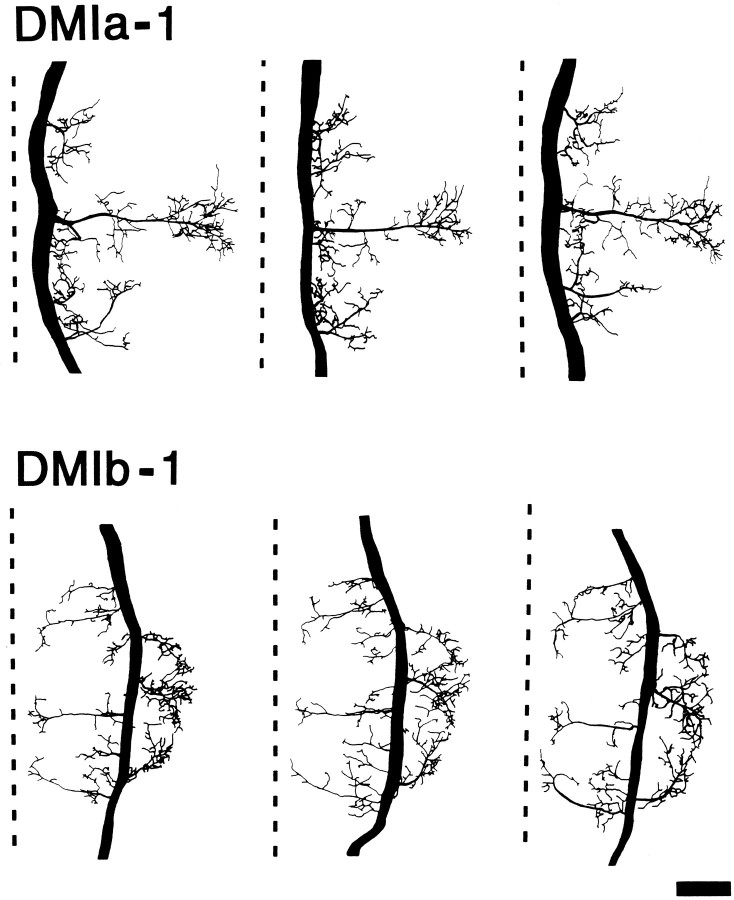 Fig. 9.