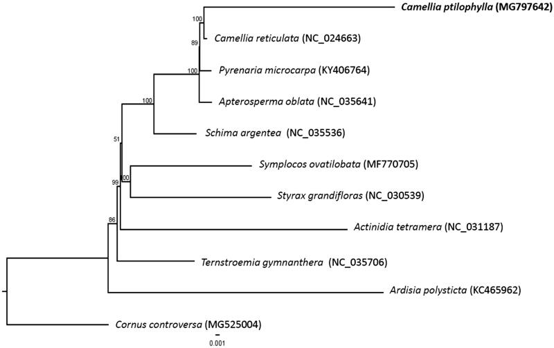 Figure 1.