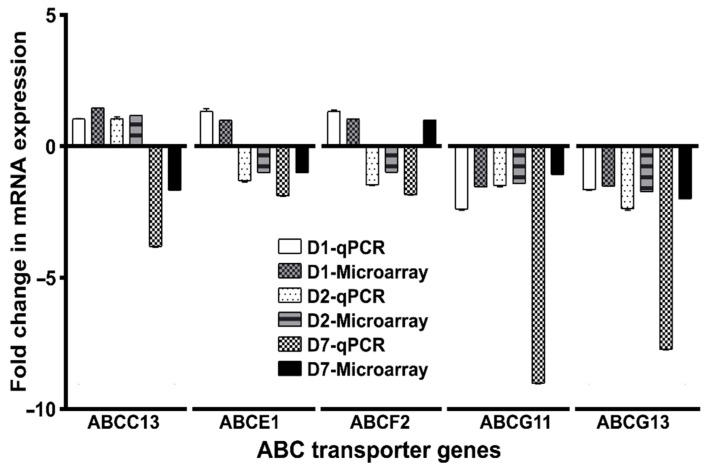 Figure 6