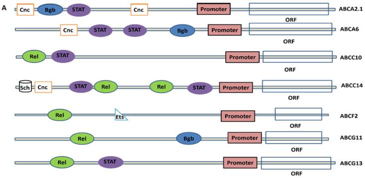 Figure 7