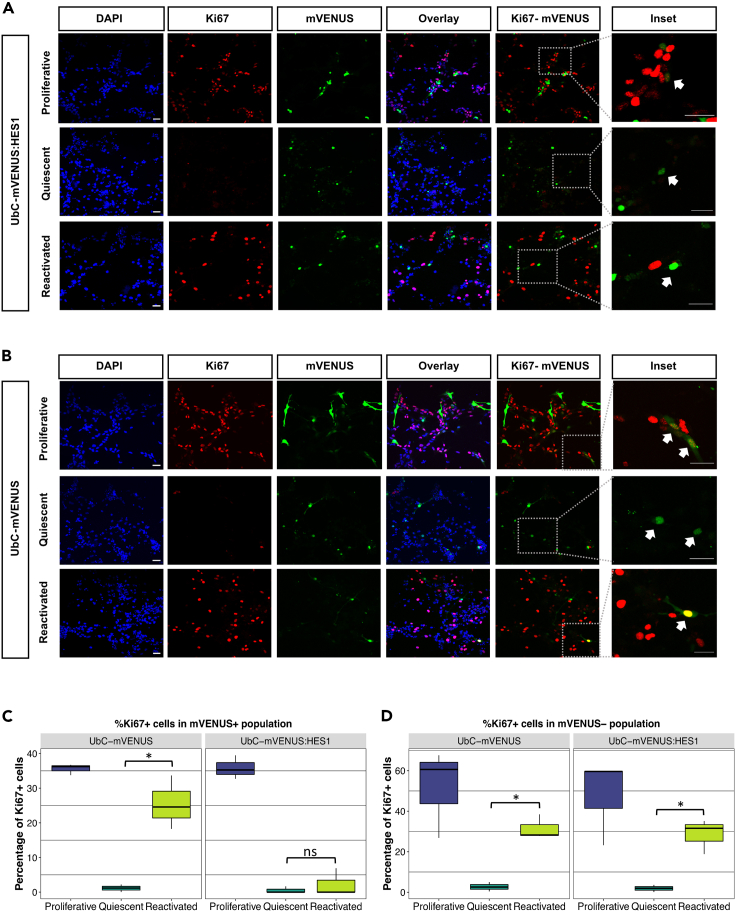 Figure 4