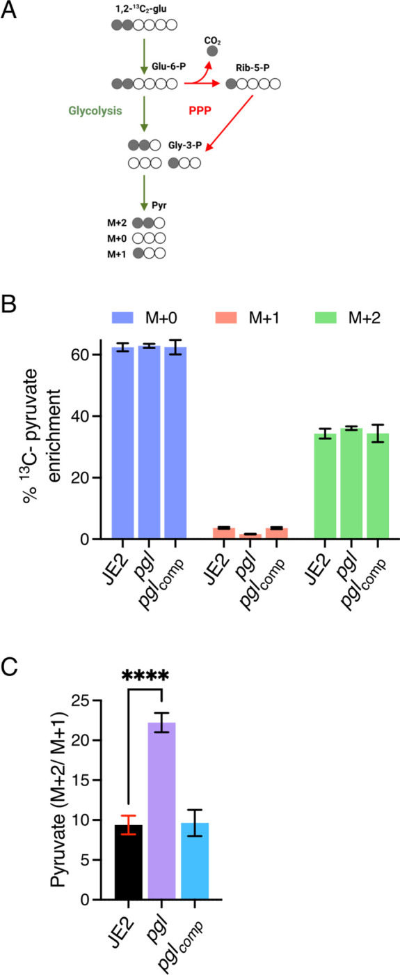 Fig. 4.