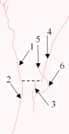 graphic file with name 41598_2023_38285_Figd_HTML.gif