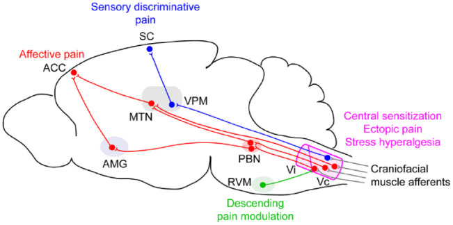 Figure 3.